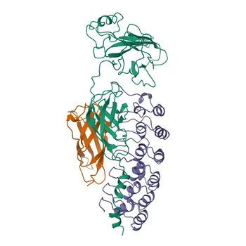 Anticorpo Monoclonal de Coelho Phospho-NF-kB p65/RelA-S536 para WB, ELISA - Q04206