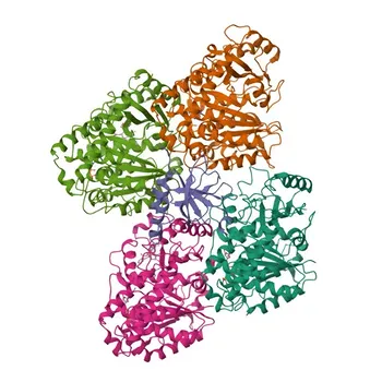 Anti-CAMSAP1 Polyclonal Antibody for WB, IF/ICC, ELISA - Q5T5Y3
