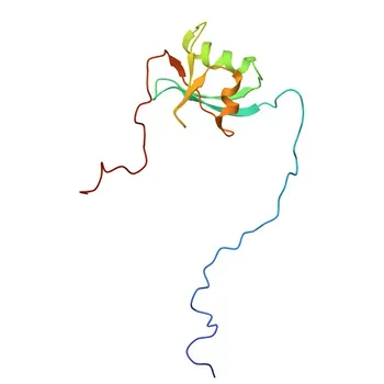Anticorpo policlonale anti-CIDEB per WB, ELISA - Q9UHD4