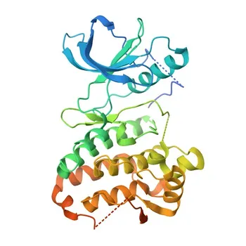 Anticorpo policlonale anti-EPHA3/EPHA4/EPHA5 per IHC-P, IF/ICC, ELISA - P29320 / P54764 / P54756