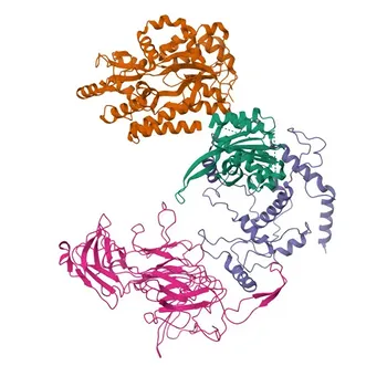 Anti-TIFY10A Polyclonal Antibody for WB, ELISA - Q9LMA8