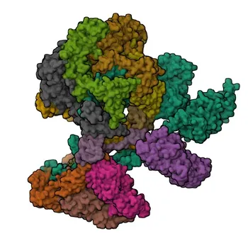 Anti-DMAP1 Polyclonal Antibody for WB, ELISA - Q9NPF5
