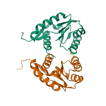 Anticorpo policlonale anti-PIWIL1 per WB, IF-P, IHC-P, ELISA - Q9JMB7